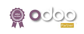 Odoo Partner